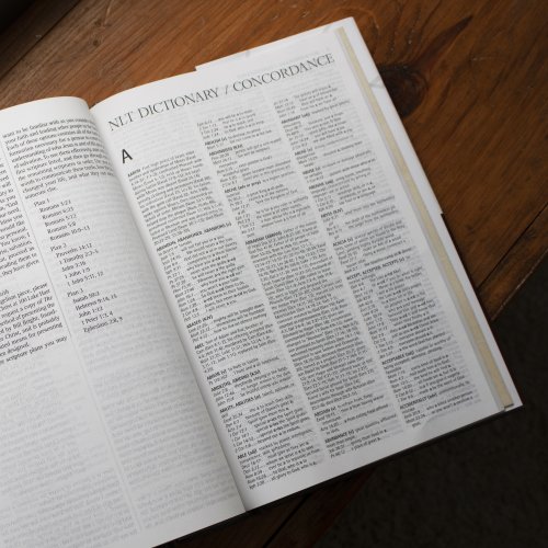 NLT New Spirit-Filled Life Bible