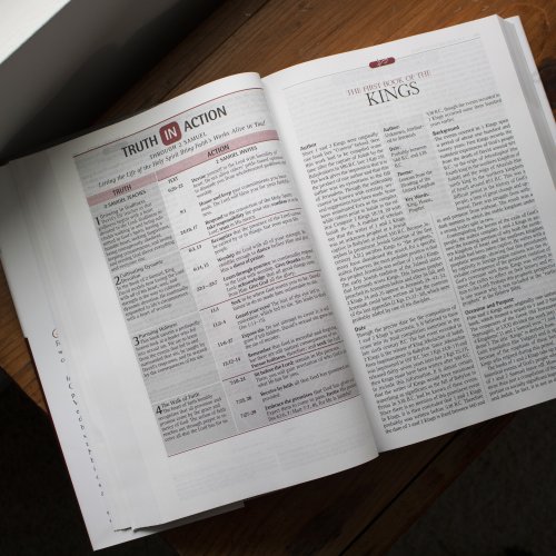 NLT New Spirit-Filled Life Bible