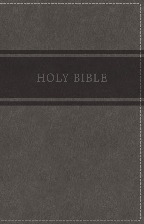 KJV, Deluxe Gift Bible, Imitation Leather, Gray, Red Letter Edition