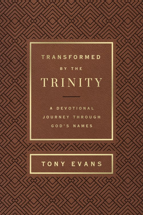 Transformed by the Trinity (Milano Softone)