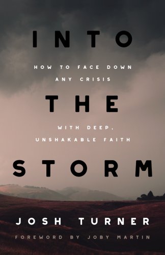 Into the Storm