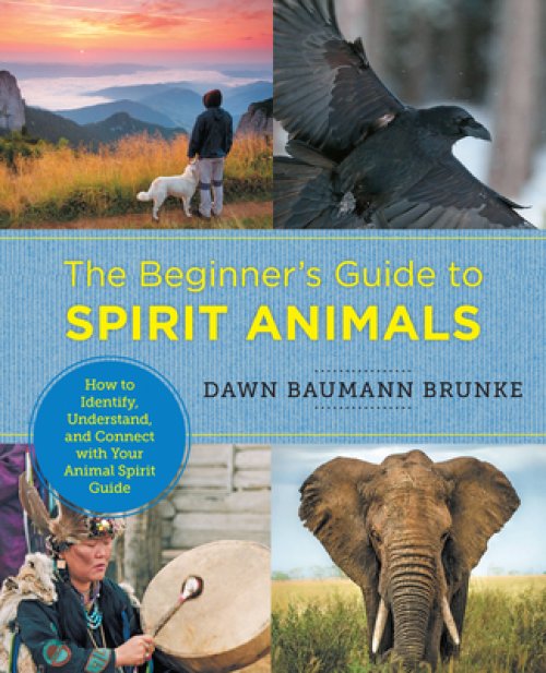 The Beginner's Guide to Spirit Animals: How to Identify, Understand, and Connect with Your Animal Spirit Guide