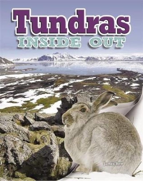 INSIDE OUT TUNDRAS