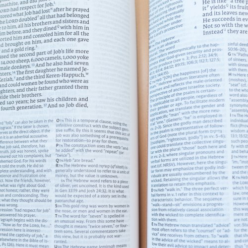 NET Bible, Full-notes Edition, Leathersoft, Black, Thumb Indexed, Comfort Print