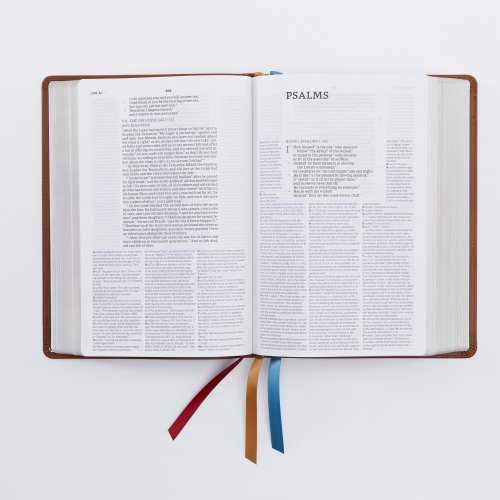 NET Bible, Full-notes Edition, Leathersoft, Teal, Comfort Print