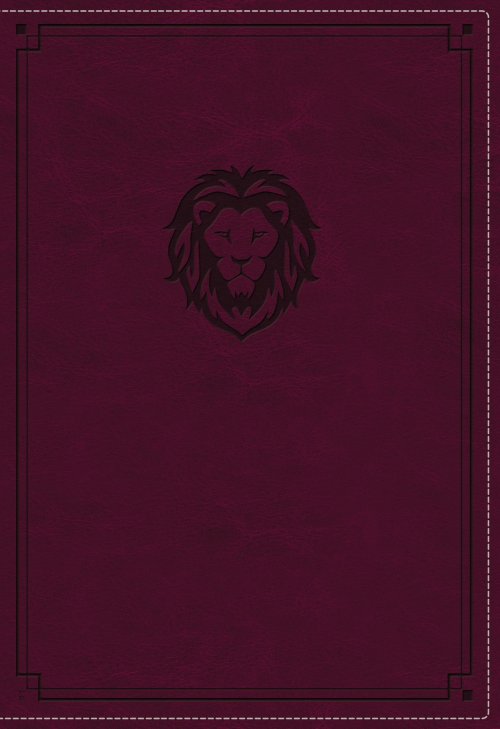 KJV, Thinline Bible Youth Edition