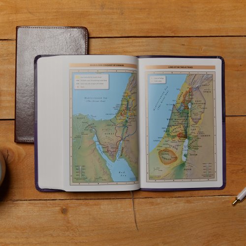 KJV Holy Bible: Large Print Thinline, Green Leathersoft, Red Letter, Comfort Print: King James Version