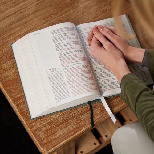 NKJV, Abide Bible, Leathersoft, Brown, Red Letter, Comfort Print