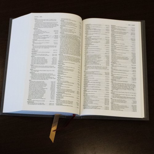 NET Bible, Single-Column Reference, Cloth over Board, Gray, Comfort Print