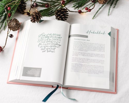 NET Love God Greatly Bible, Comfort Print