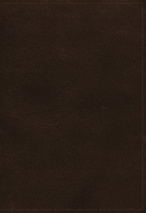 The  NIV, Open Bible, Genuine Leather, Brown, Red Letter, Comfort Print