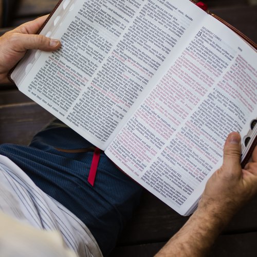 KJV Holy Bible: Giant Print Thinline Bible, Brown Leathersoft, Red Letter, Comfort Print (Thumb Indexed): King James Version