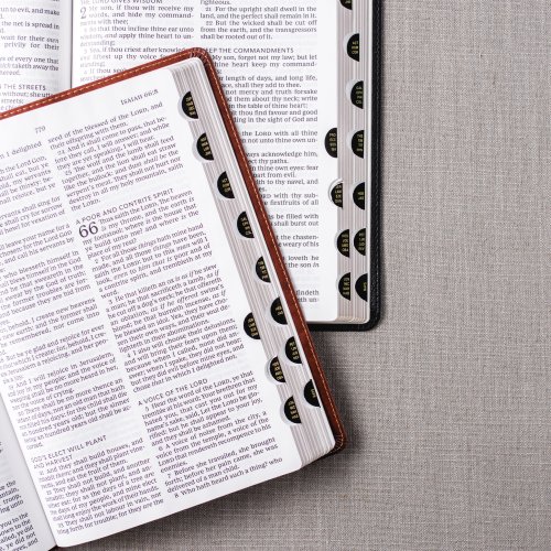 KJV Holy Bible: Giant Print Thinline Bible, Brown Leathersoft, Red Letter, Comfort Print (Thumb Indexed): King James Version