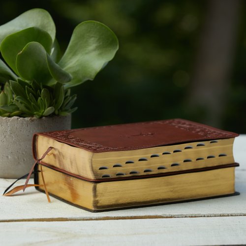 NABRE, New American Bible, Revised Edition, Catholic Bible, Large Print Edition, Leathersoft, Brown, Comfort Print