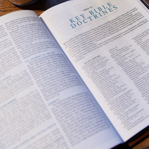 MacArthur ESV Study Bible, Brown, Imitation Leather, Thumb Indexed, Maps, Charts, Diagrams, Verse-by-Verse Study Notes, Concordance, Study Plans, Book Introductions