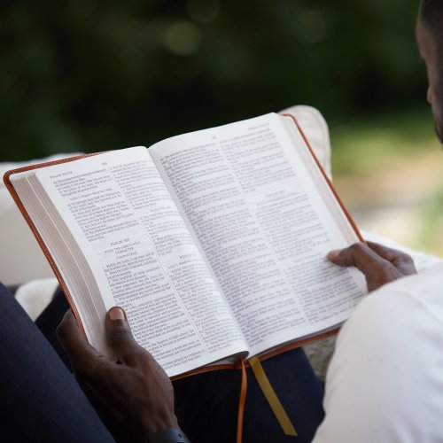 KJV Holy Bible: Large Print Thinline, Tan Leathersoft, Red Letter, Comfort Print: King James Version
