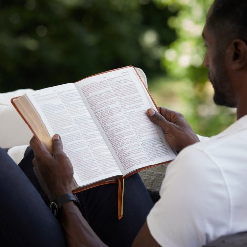 KJV Holy Bible: Large Print Thinline, Tan Leathersoft, Red Letter, Comfort Print: King James Version