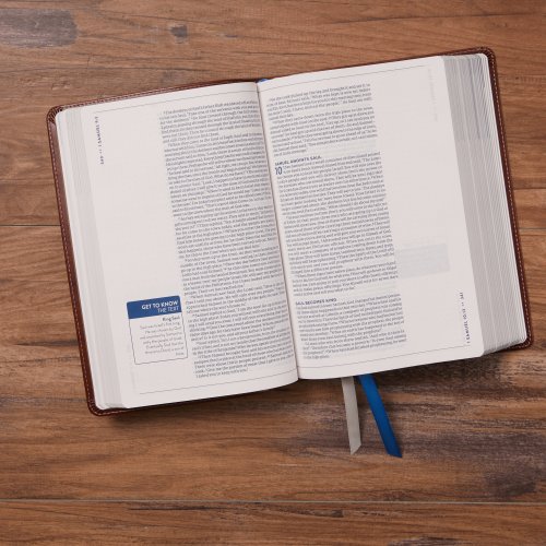 The TEXT Bible: Uncover the message between God, humanity, and you (NET, Stone Leathersoft, Comfort Print)