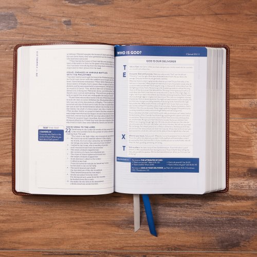 The TEXT Bible: Uncover the message between God, humanity, and you (NET, Stone Leathersoft, Comfort Print)