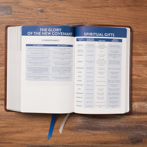 The TEXT Bible: Uncover the message between God, humanity, and you (NET, Stone Leathersoft, Comfort Print)