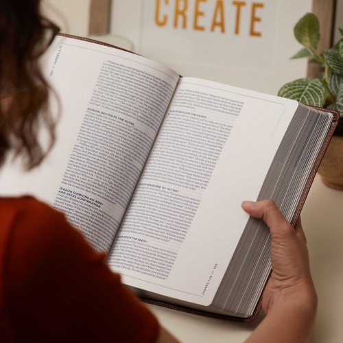 The TEXT Bible: Uncover the message between God, humanity, and you (NET, Stone Leathersoft, Comfort Print)