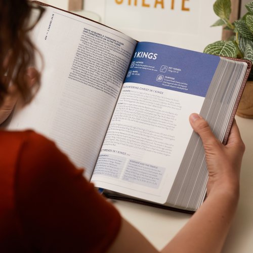 The TEXT Bible: Uncover the message between God, humanity, and you (NET, Stone Leathersoft, Comfort Print)