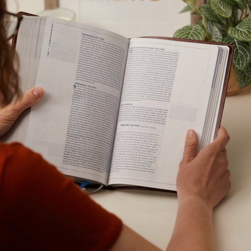 The TEXT Bible: Uncover the message between God, humanity, and you (NET, Stone Leathersoft, Comfort Print)