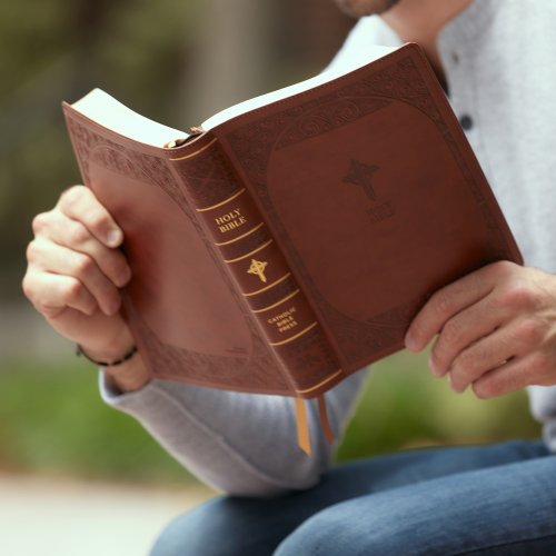 NABRE, New American Bible, Revised Edition, Catholic Bible, Large Print Edition, Leathersoft, Brown, Thumb Indexed, Comfort Print