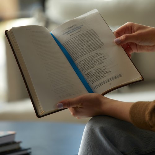 Spurgeon and the Psalms