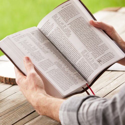 NKJV Giant Print Center-Column Reference Bible, Verse Art Cover Collection, Leathersoft, Purple, Red Letter, Comfort Print