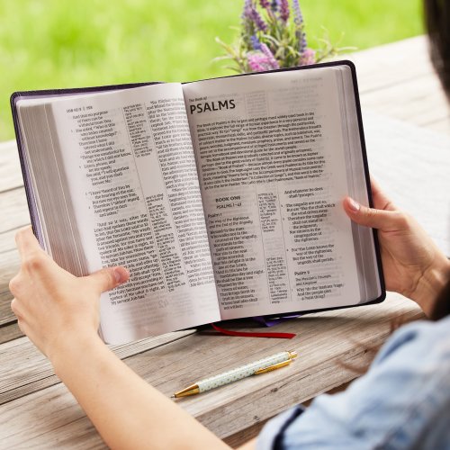 NKJV Giant Print Center-Column Reference Bible, Verse Art Cover Collection, Leathersoft, Purple, Red Letter, Comfort Print