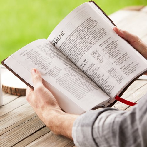 NKJV, Giant Print Center-Column Reference Bible, Verse Art Cover Collection, Genuine Leather, Brown, Thumb Indexed, Red Letter, Comfort Print