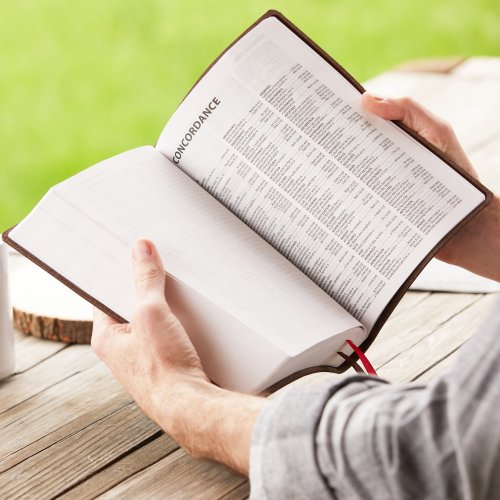NKJV, Giant Print Center-Column Reference Bible, Verse Art Cover Collection, Genuine Leather, Brown, Thumb Indexed, Red Letter, Comfort Print