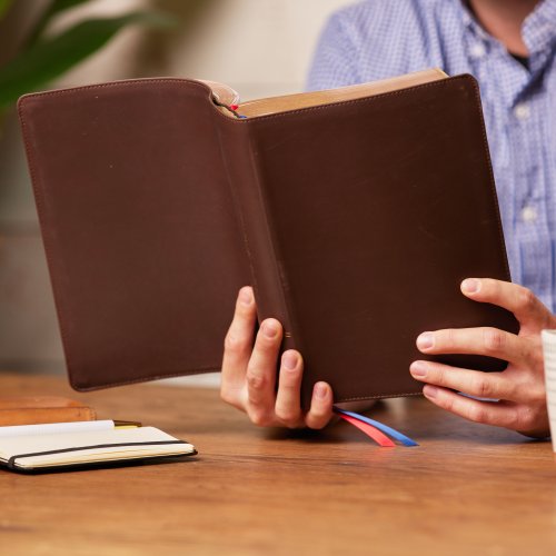 NKJV, Interleaved Bible, Journal Edition, Genuine Leather, Brown, Red Letter, Comfort Print