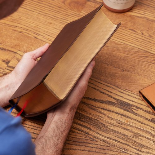 NKJV, Interleaved Bible, Journal Edition, Genuine Leather, Brown, Red Letter, Comfort Print