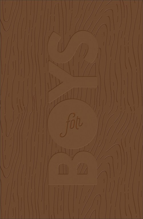 CSB Study Bible For Boys, Brown, Wood Design