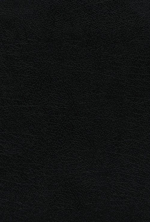 NVI, Biblia de Estudio Teología Bíblica, Interior a cuatro colores, Piel reciclada, Negro