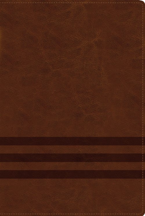 NVI, Biblia de Estudio Teología Bíblica,  Interior a cuatro colores, Leathersoft, Café