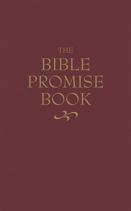 KJV Bible Promise Book