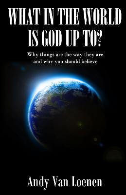 What in the World is God Up To?: Why things are the way they are and why you should believe