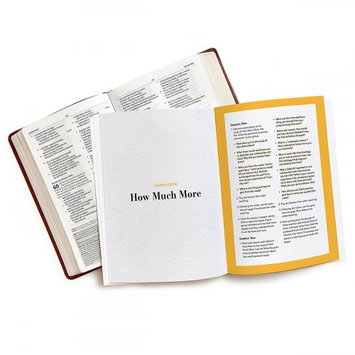 How Much More -  Bible Study Book