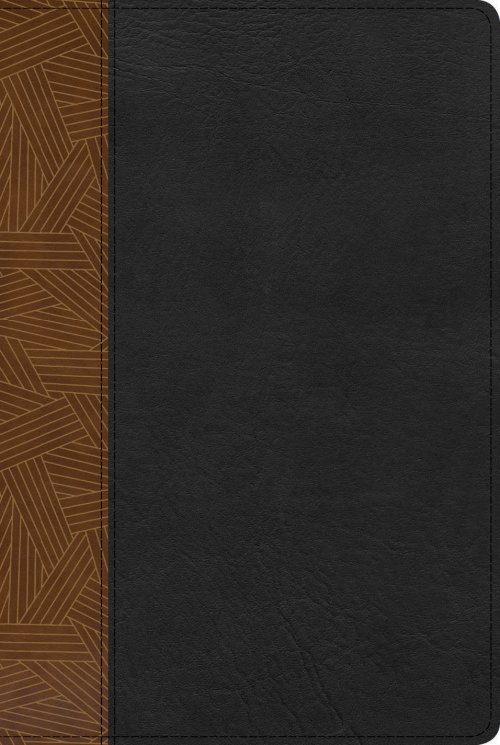 RVR 1960 Biblia de Estudio Arcoíris, tostado/negro símil piel con índice