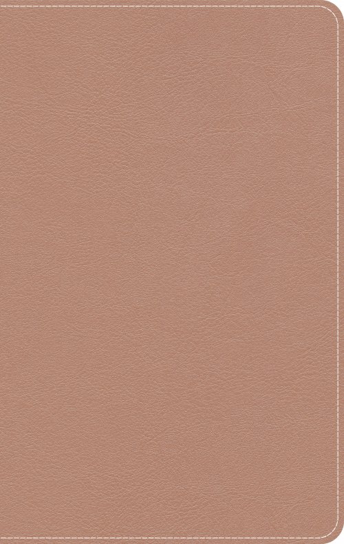 CSB On-The-Go Bible, Pink, Imitation Leather, Personal Size, Words of Christ in Red, Gilt Edge, Ribbon Marker, Presentation Page, Colour Maps