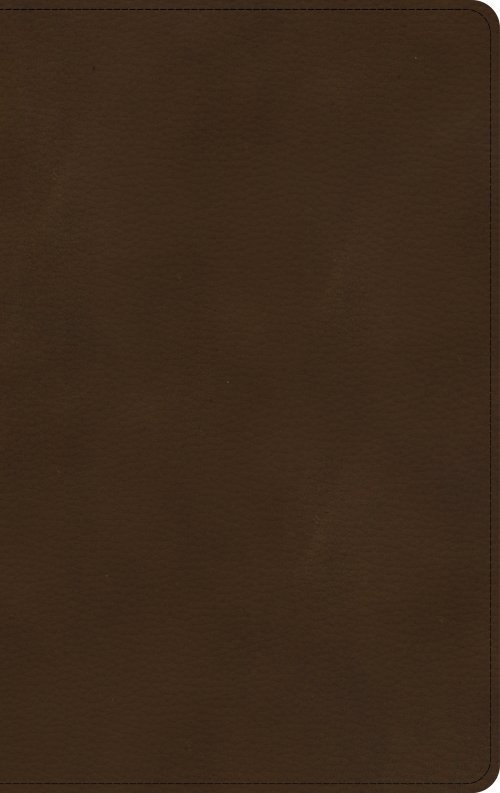 KJV Ultrathin Bible, Brown, Imitation Leather