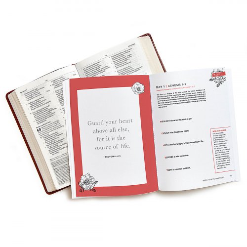 Bible in a Year - Bible Study Book