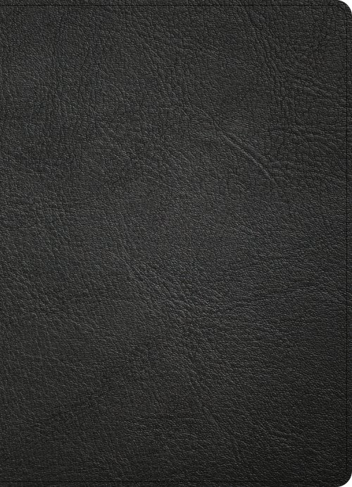 CSB Study Bible, Holman Handcrafted Collection, Black Premium Goatskin