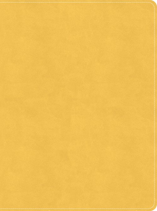CSB Lifeway Women's Bible, Marigold LeatherTouch