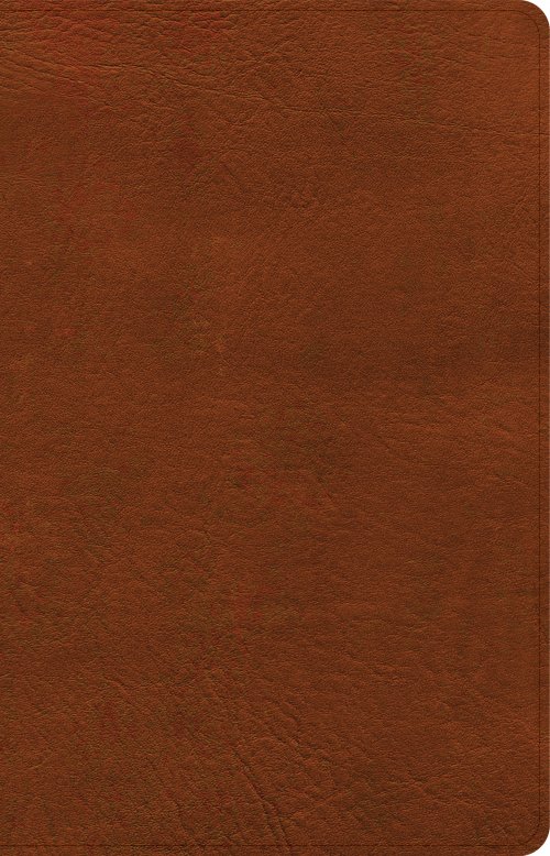 NASB Large Print Personal Size Reference Bible, Burnt Sienna LeatherTouch, Indexed