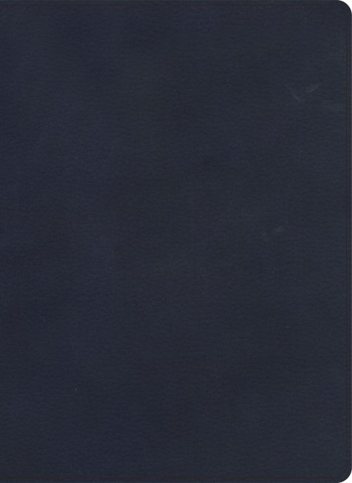 KJV Single-Column Wide-Margin Bible, Navy LeatherTouch