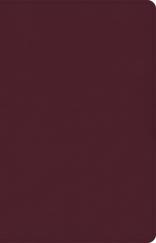 CSB Thinline Reference Bible, Cranberry LeatherTouch